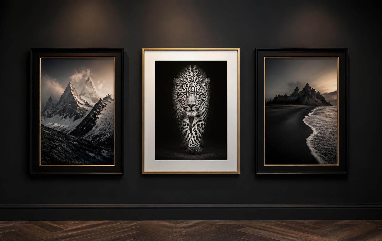 Framed fine-art prints on a dark gallery wall